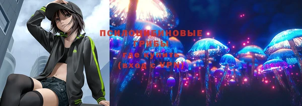 Альфа ПВП Бородино