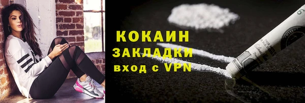 Альфа ПВП Бородино