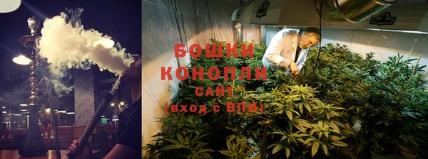 Альфа ПВП Бородино